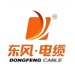 广州市东风电缆有限公司